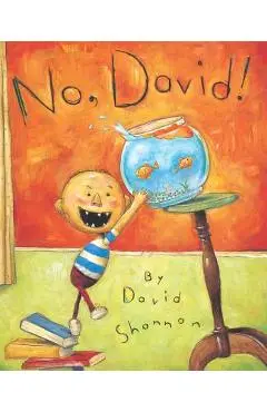 No, David! - David Shannon