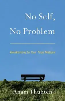 No Self, No Problem: Awakening to Our True Nature, Paperback/Anam Thubten