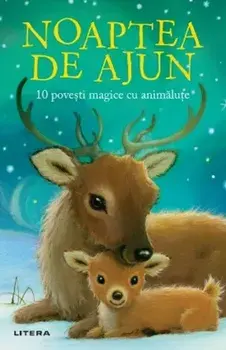Noaptea de Ajun. 10 povesti magice cu animalute/Rachel Delahaye