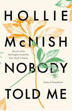 Nobody Told Me: Poetry and Parenthood - Hollie Mcnish