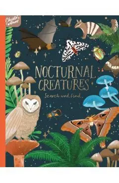Nocturnal Creatures Search and Find - Christie Williams