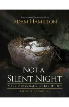 Not a Silent Night: Mary Looks Back to Bethlehem - Adam Hamilton