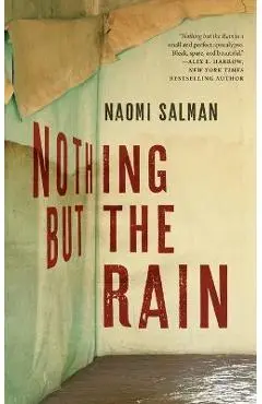 Nothing But the Rain - Naomi Salman