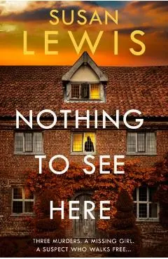 Nothing to See Here - Susan Lewis