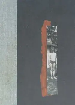 Nox, Hardcover/Anne Carson