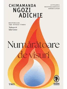 Numaratoare de visuri/Chimamanda Ngozi Adichie