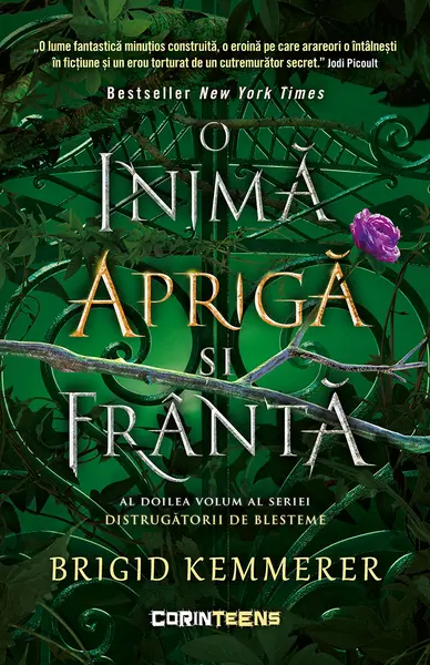 O inimă aprigă și frântă (vol.2 din seria Distrugătorii de blesteme)