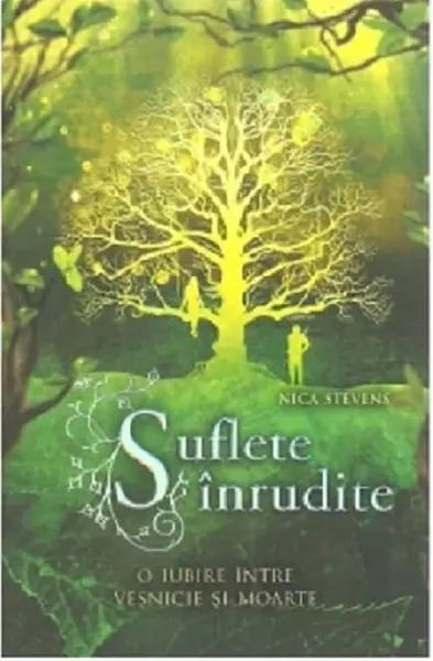 O iubire intre vesnicie si moarte | Nica Stevens