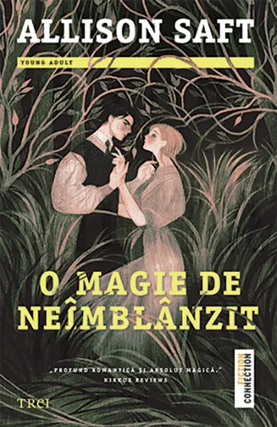 O magie de neimblanzit | Allison Saft