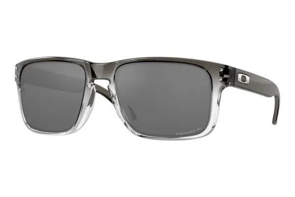 Oakley Holbrook OO9102 9102O2 PRIZM Black Polarized