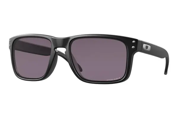 Oakley Holbrook OO9102-E8 PRIZM Grey