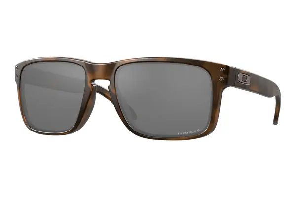 Oakley Holbrook OO9102-F4 PRIZM Black