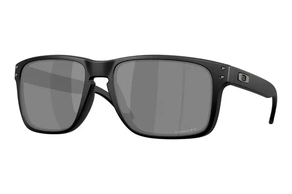 Oakley Holbrook XXL OO9487 948702 PRIZM Black