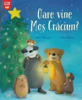 Oare vine Mos Craciun?/Steve Metzger