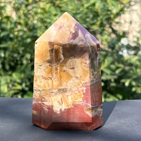 Obelisc lemn pietrificat m1