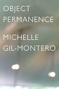 Object Permanence, Paperback/Michelle Gil-Montero