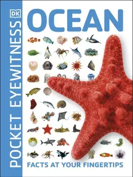 Ocean/***