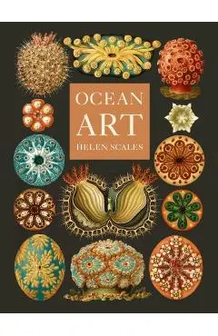 Ocean Art - Helen Scales