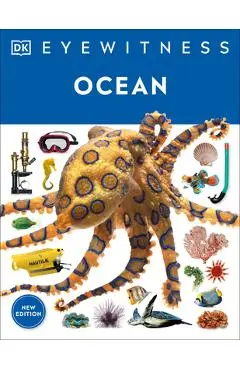 Ocean - Dk