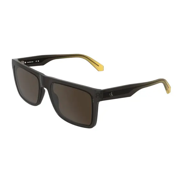 Ochelari de soare barbati Calvin Klein Jeans CKJ26601S 209