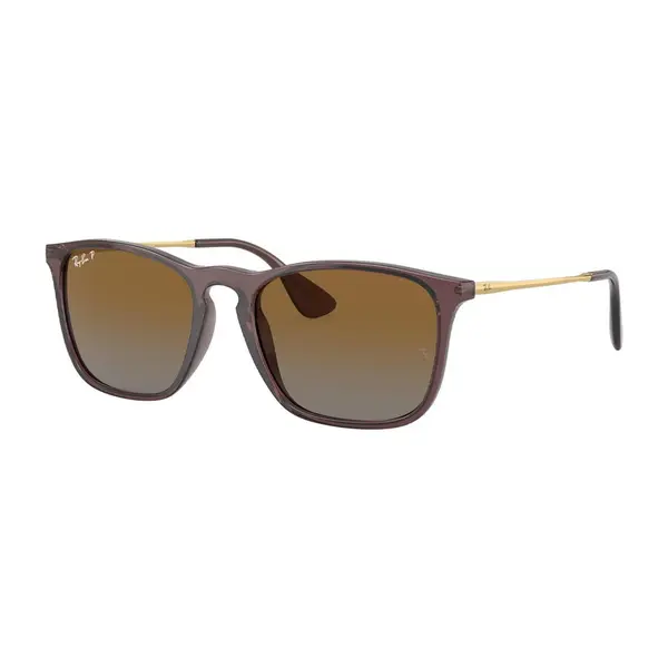Ochelari de soare barbati Ray-Ban CHRIS RB4187 6593T5 Polarizati