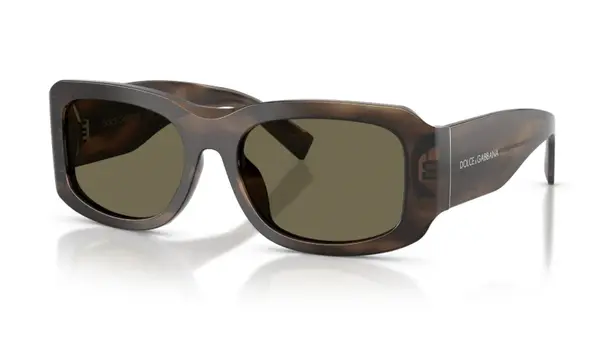Ochelari de soare Dolce&Gabbana DG4503 3200/3 - Default Title