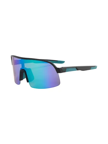 Ochelari de soare Ray