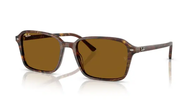 Ochelari de soare Ray-Ban RB2231 141833 - 58