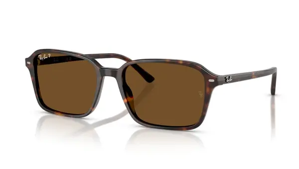 Ochelari de soare Ray-Ban RB2231 902/57 Polarizați - 56