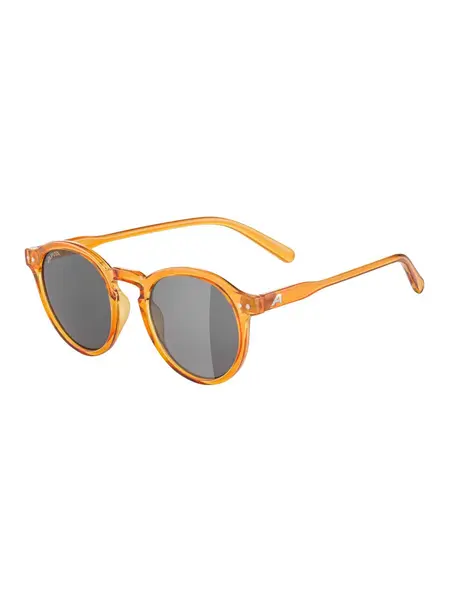 Ochelari de soare Sneek
