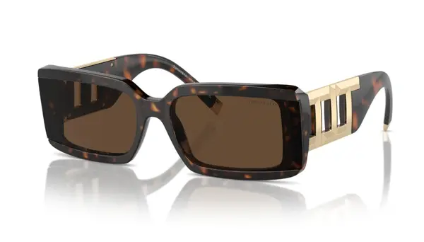 Ochelari de soare Tiffany&Co TF4197 80153G - Default Title