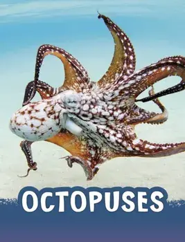 Octopuses, Paperback/Jaclyn Jaycox