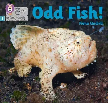 Odd Fish!. Phase 3, Paperback/Fiona Undrill