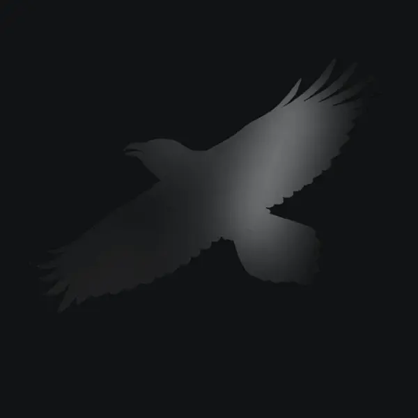 Odin's Raven Magic - Vinyl - 12" | Sigur Ros