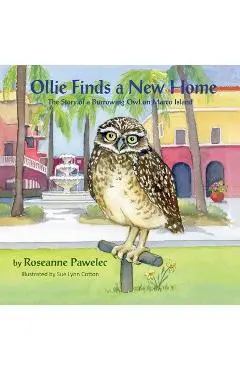 Ollie Finds a New Home, The Story of a Burrowing Owl on Marco Island - Roseanne Pawelec