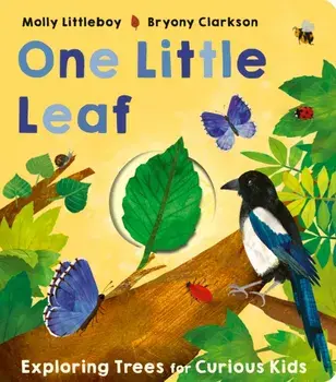One Little Leaf, Board book/Molly Littleboy