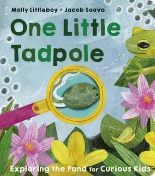 One Little Tadpole, Board book/Molly Littleboy
