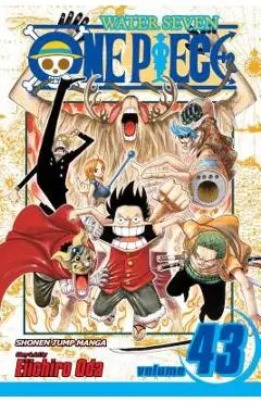 One Piece, Volume 43: Legend of a Hero - Eiichiro Oda