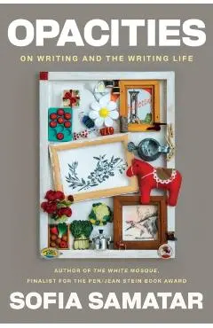 Opacities: On Writing and the Writing Life - Sofia Samatar