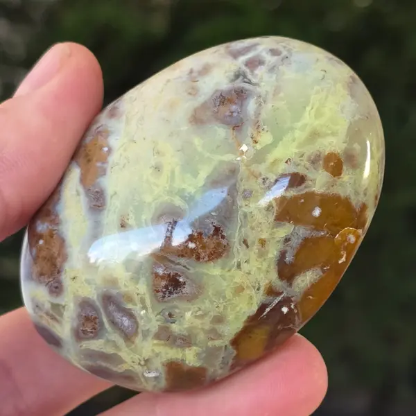 Opal verde palmstone m13