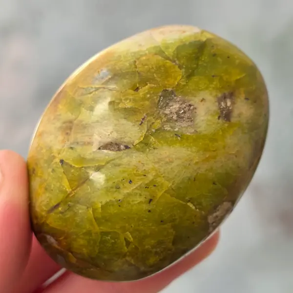 Opal verde palmstone | m17