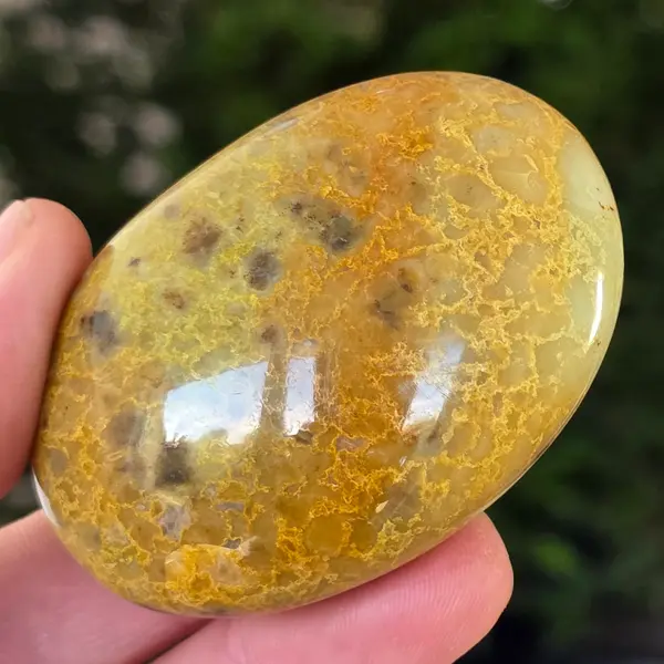 Opal verde palmstone | m18