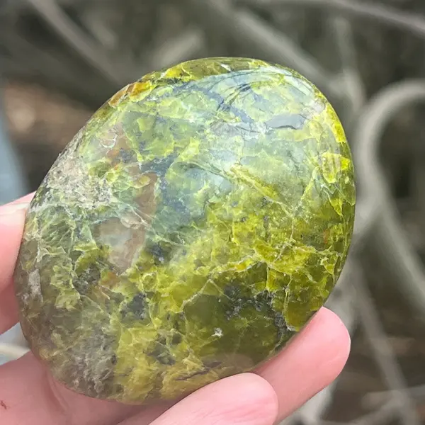 Opal verde palmstone m5