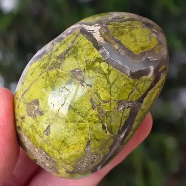 Opal verde palmstone m6