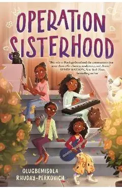 Operation Sisterhood - Olugbemisola Rhuday-perkovich