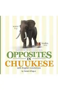 Opposites in Chuukese: With English Translations - Gerard Aflague