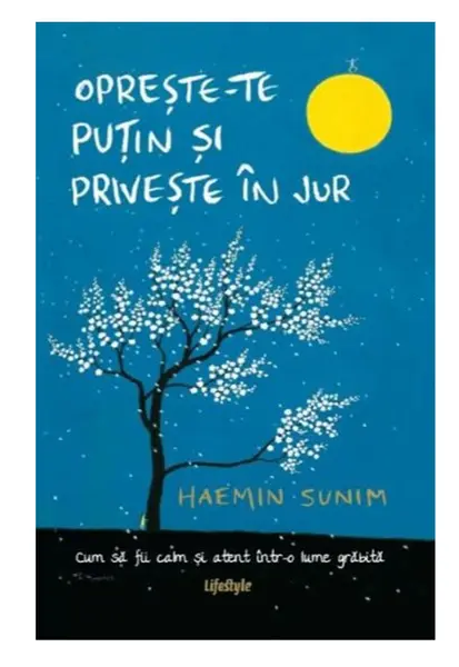 Opreste-te putin si priveste in jur | Haemin Sunim