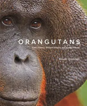 Orangutans. Their History, Natural History and Conservation, Hardback/Ronald Orenstein