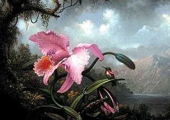 Orchid and Hummingbird Magnet | Pomegranate