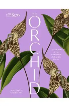 Orchid: Royal Botanic Gardens, Kew - Lauren|cribb Gardiner